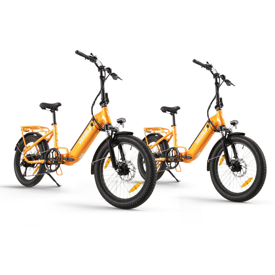Pacchetto Vakole VT4 * 2 E-Bike