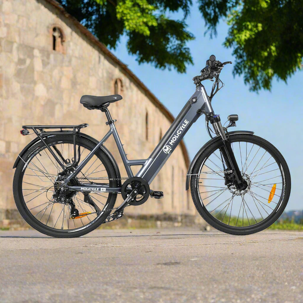 Molicycle R1 250W 26" Elektrische Trekkingfiets 522Wh City E-bike Ondersteuning APP