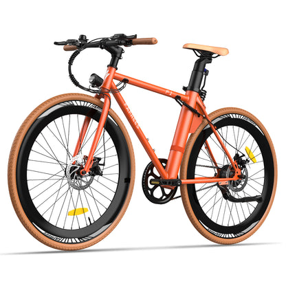 Fafrees F1 250W 700*38C Zoll Gravel E-Bike 360Wh Rennrad