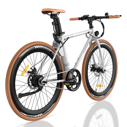 Fafrees F1 250W 700*38C Zoll Gravel E-Bike 360Wh Rennrad