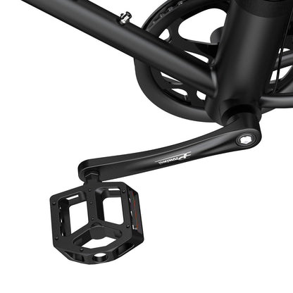 Fafrees F1 250W 700*38C Zoll Gravel E-Bike 360Wh Rennrad