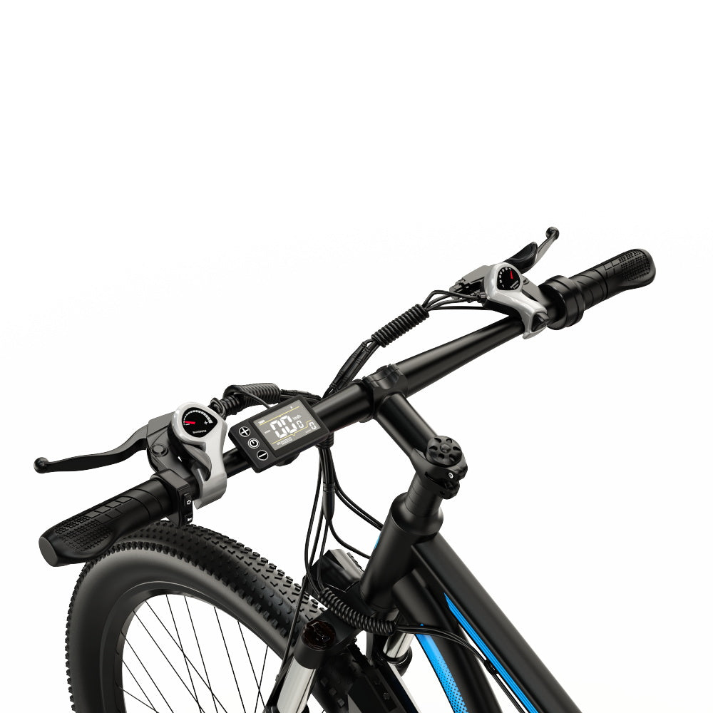 DUOTTS C29 750W 29" Hardtail E-Mountainbike 750Wh E-MTB