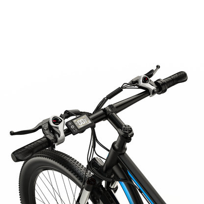 DUOTTS C29 750W 29" Hardtail E-Mountainbike 750Wh E-MTB
