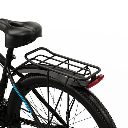 DUOTTS C29 750W 29" Hardtail E-Mountainbike 750Wh E-MTB