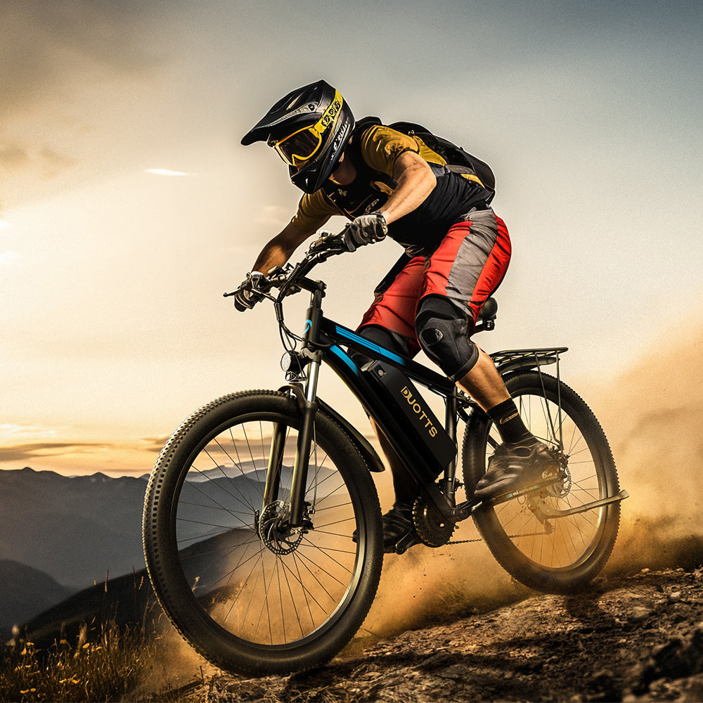 DUOTTS C29 750W 29" Hardtail E-Mountainbike 750Wh E-MTB