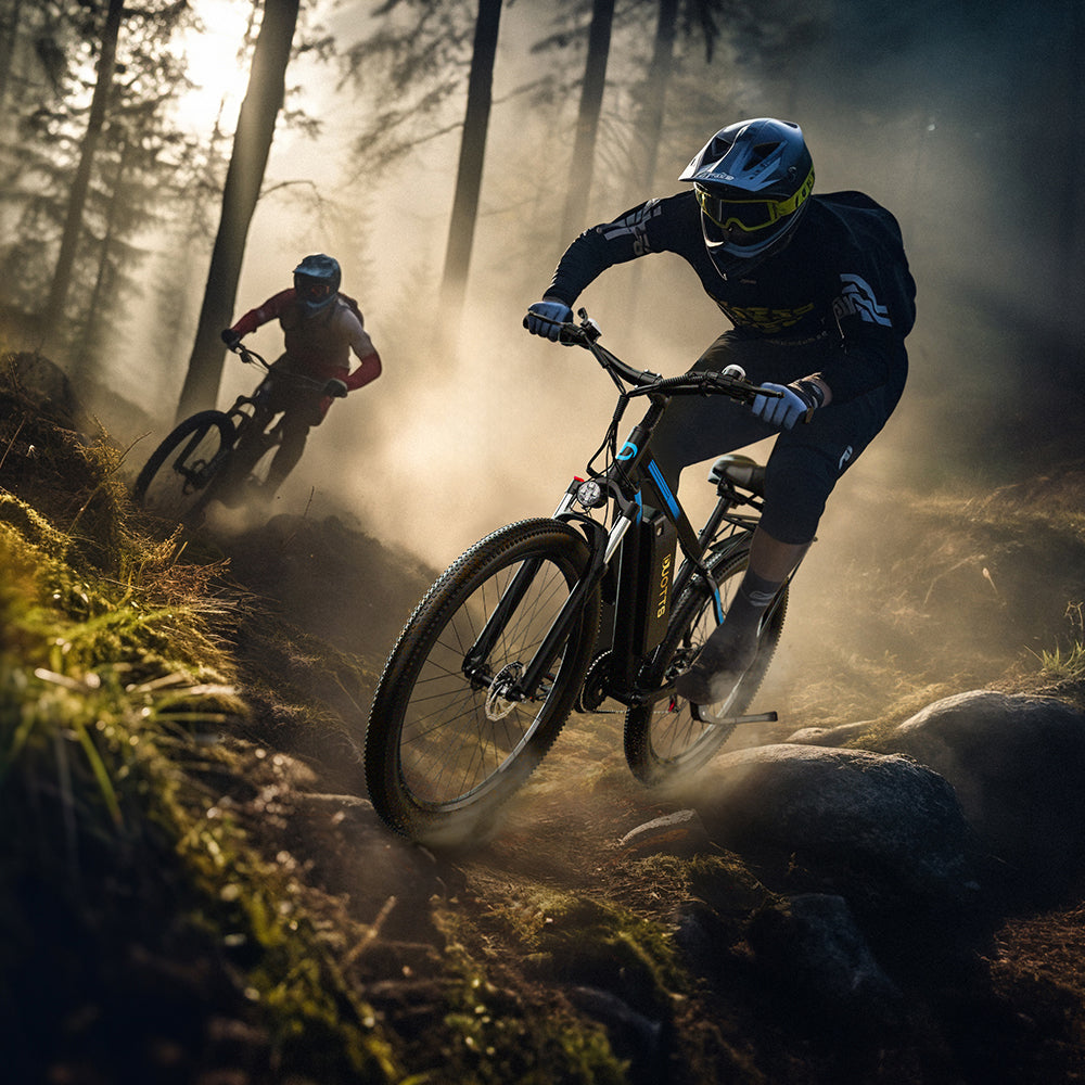 DUOTTS C29 750W 29" Hardtail E-Mountainbike 750Wh E-MTB