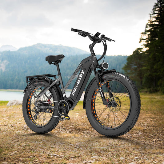 Dukawey DM530 Plus 1000W 26" Fatbike Herren Elektrofahrrad 1040Wh Samsung Akku SUV E-bike