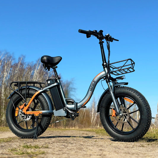 Vakole Y20 Pro 750W 20" opvouwbare elektrische fatbike met 20Ah Samsung batterijondersteuning APP