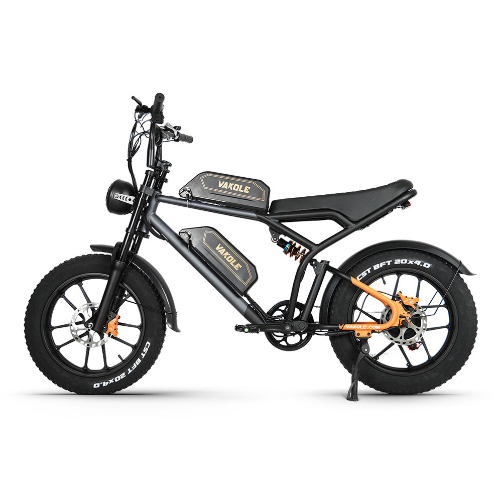 Vakole Q20 750W 20" fatbike, volledig geveerde e-mountainbike met 20 Ah*2 dubbele Samsung-accu's E-MTB