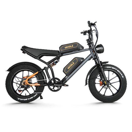 Vakole Q20 750W 20" Fat Bike E-Mountain Bike a sospensione completa con 20Ah*2 doppie batterie Samsung E-MTB