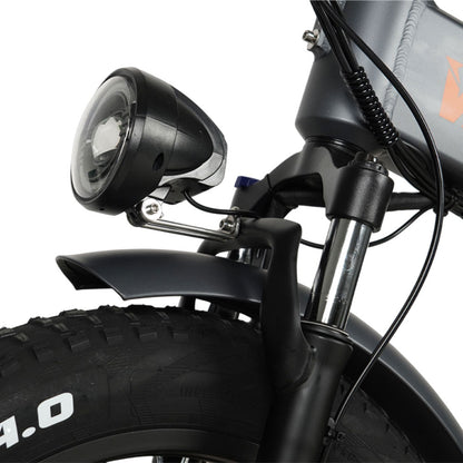 Vakole CO20 MAX 750W*2 Dual Motor 20" Folding Fat Bike with Torque Sensor 20Ah Samsung Battery