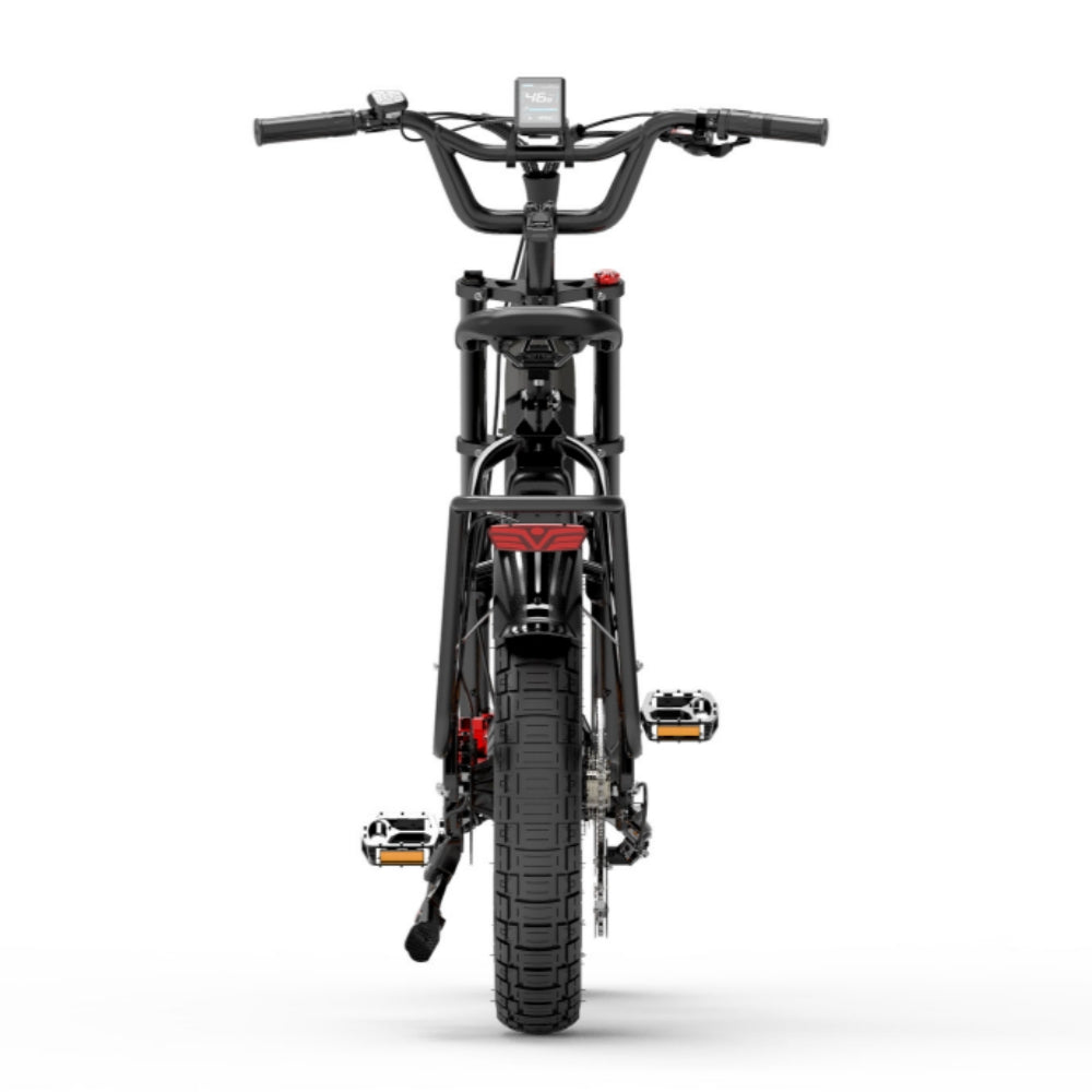 Bezior X500 Max 750W Bafang Motor 20" Fat Bike Cargo E-Bike Dual Batteries 37.5Ah Samsung Battery