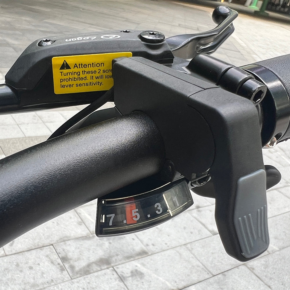 Molicycle R1 250W 26" Elektrisches Trekkingrad 522Wh City E-Bike Support APP